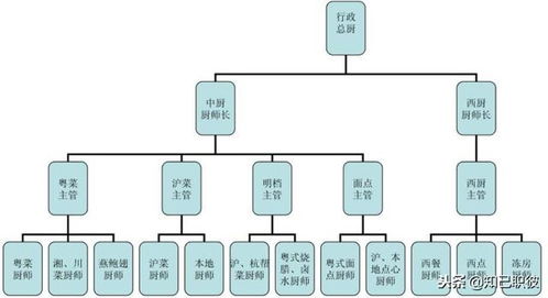 酒店管理职业规划 一 二 行业发展现状 酒店组织结构